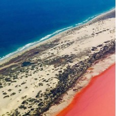 Pink Lake & Abrolhos Islands Day Tour from Geraldton by TapMyTrip