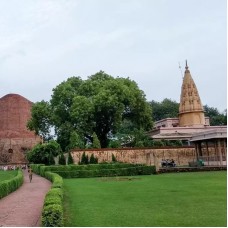 Buddhist Pilgrimage Tour Of Sarnath From Varanasi by TapMyTrip
