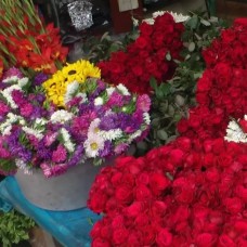 Mallick Ghat Flower Market Morning Walk Tour by TapMyTrip