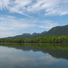 Kubang Badak Mangrove River Join-In Kayaking Tour by TapMyTrip