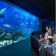 S.E.A. Aquarium Ticket Sentosa, Singapore by TapMyTrip