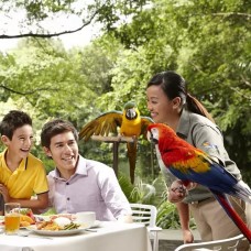 Lunch with Parrots by TapMyTrip