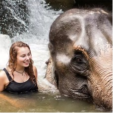 Elephant Jungle Sanctuary Pattaya Half Day Visit by TapMyTrip