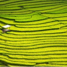 Longji Rice Terrace Fields & Minority Villages Private Day Tour by TapMyTrip