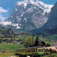Day Trip to Grindelwald and Interlaken from Lucerne by TapMyTrip