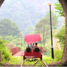 Gangwon-do Nami Island, Rail Bike and Petite France Tour by World Love Travel by TapMyTrip