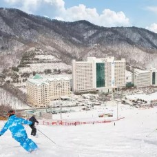 Daemyung Vivaldi Park Ski Tickets (With Roundtrip Transfers) by TapMyTrip