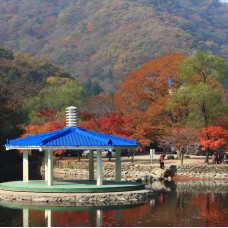 Jeollanam-do Naejangsan National Park Autumn Day Trip from Seoul by KTOURSTORY by TapMyTrip