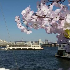 Seoul Eland Hangang River Cruise by TapMyTrip