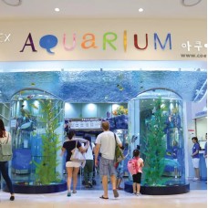 Coex Aquarium in Seoul Admission Ticket by TapMyTrip